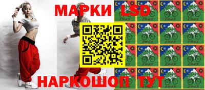 шишки Вышний Волочёк