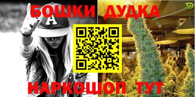 шишки Вышний Волочёк