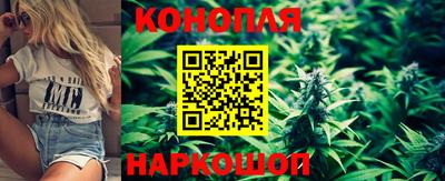 шишки Вышний Волочёк