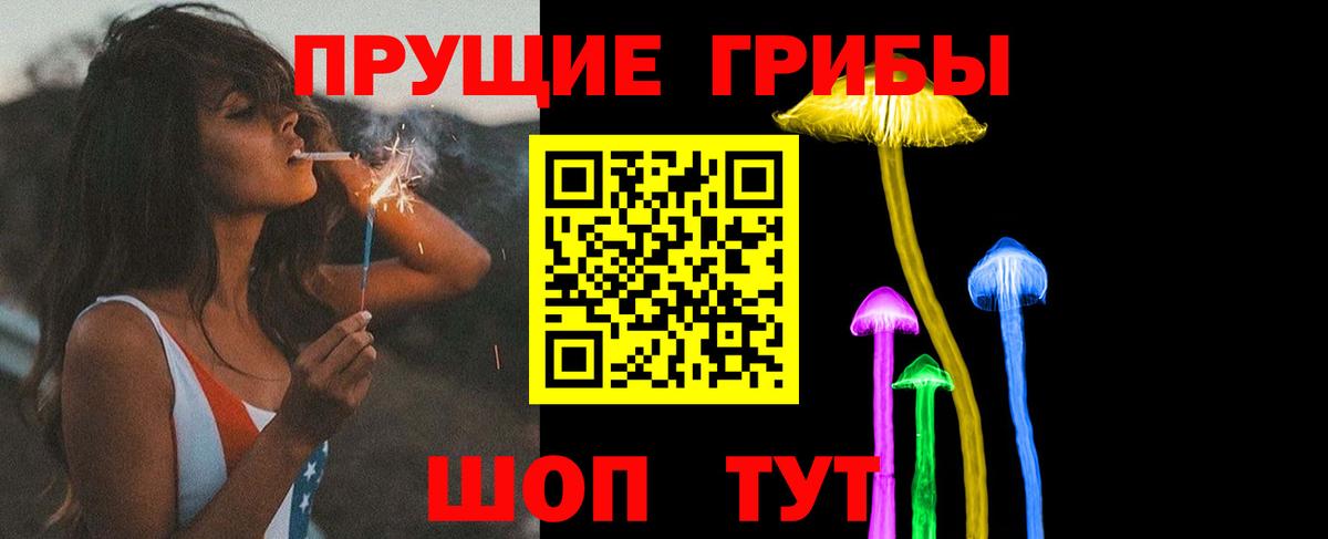 Галлюциногенные грибы MAGIC MUSHROOMS  купить   Баксан  Вход с VPN 